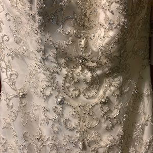 Wedding dress and veil